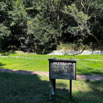 こんな河原に出てきます