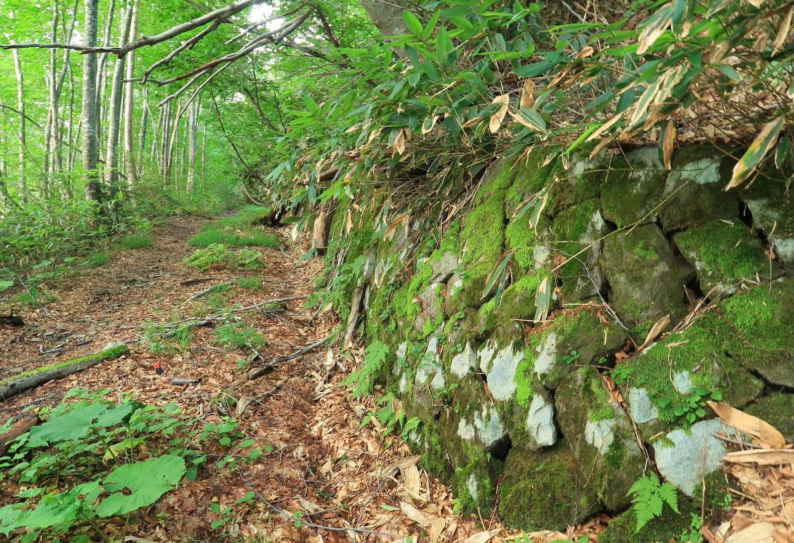 奇しくも今から89年前、1935年（昭和10年）８月21日から24日までの間に青森県史上始まって以来の水害「奥羽豪雨」によって道路も崩壊。国に修復費用の救助を求めたが認められず、その後我が国はシナ事変、太平洋戦争へと突入して行きとうとうこの県道は一度も車が通ることなく廃道となったそうだ。
