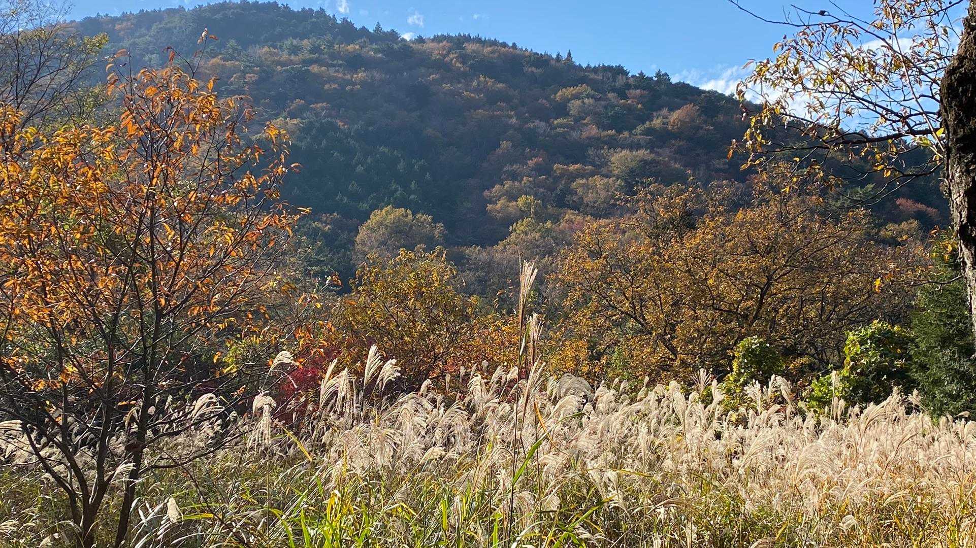 炮烙山 往復コースの写真