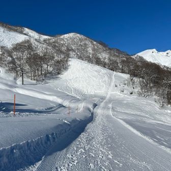 登り始めてすぐ急登
わかりづらいですね😅
動画で見てたから心づもりありましたよ！