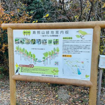 緑地となっていた。