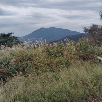 雲の下に筑波山が良く見えました。
