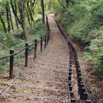 手すり付きの階段が多く設置されている