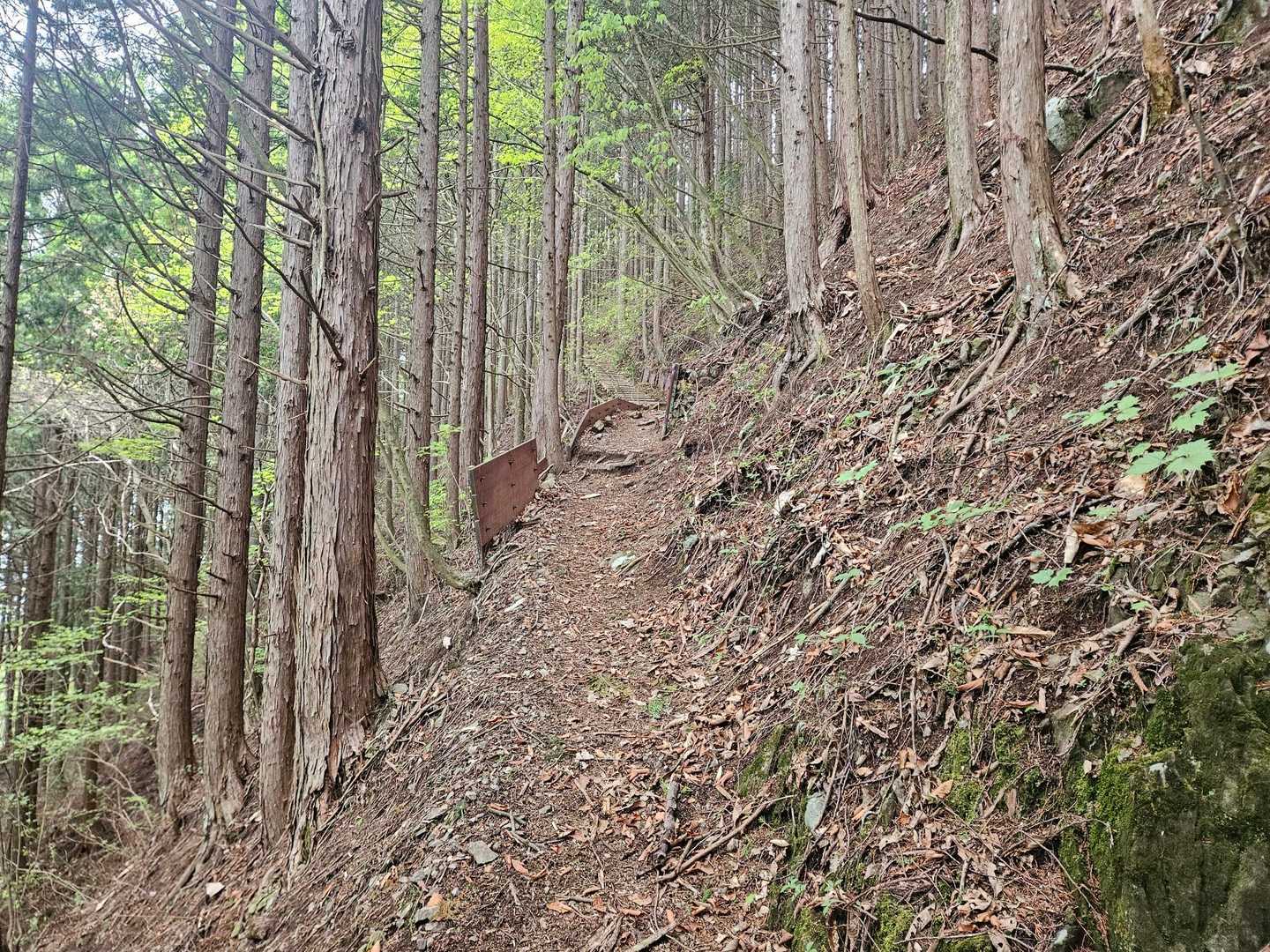 急なところが少なくトレランの方も多かった
