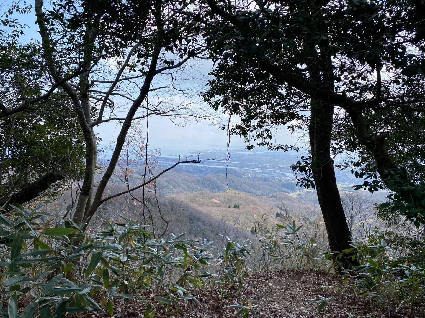 二上山 周回コースの写真