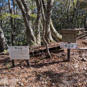 下山ルート
ここが根来坂峠とは気づかず、
じっくり説明文を読んで感慨深く、下ることをすっかり忘れて直進してしまいました。
ここを下る道があったのかな？
ここ最近は下山ルートでなんかあるな〜下山こそ大切！