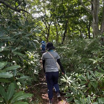 帰路はせせらぎ登山道から