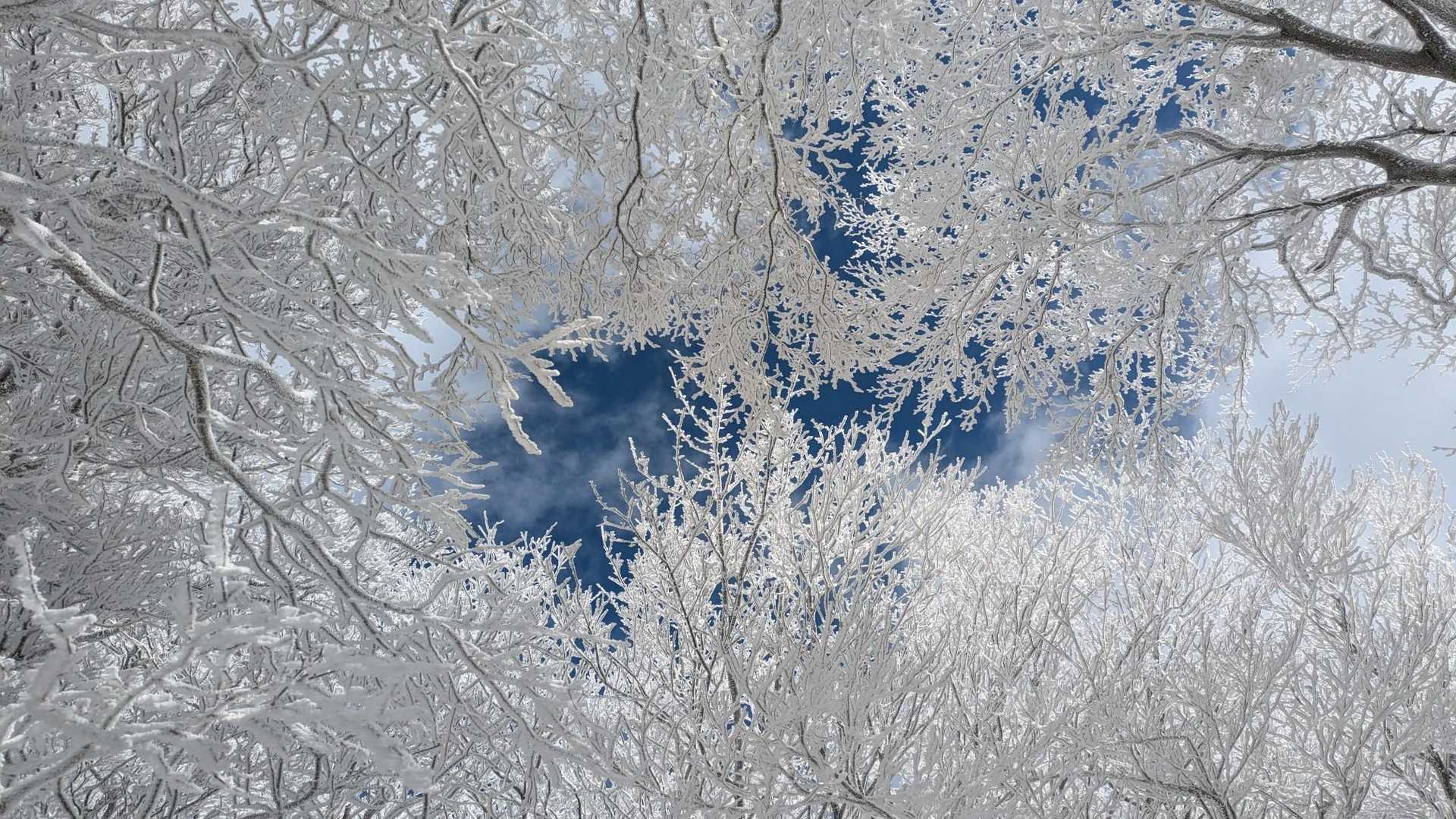 青空キター(*≧▽≦)