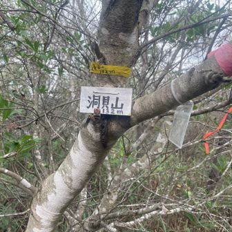 どっちが本当の山頂かな？