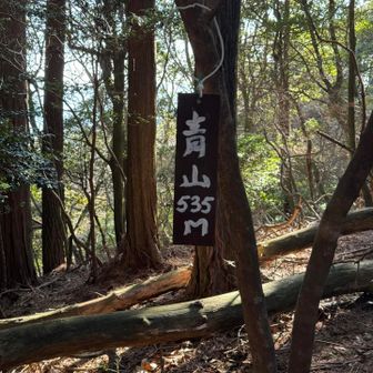 青山。今日の最高峰？