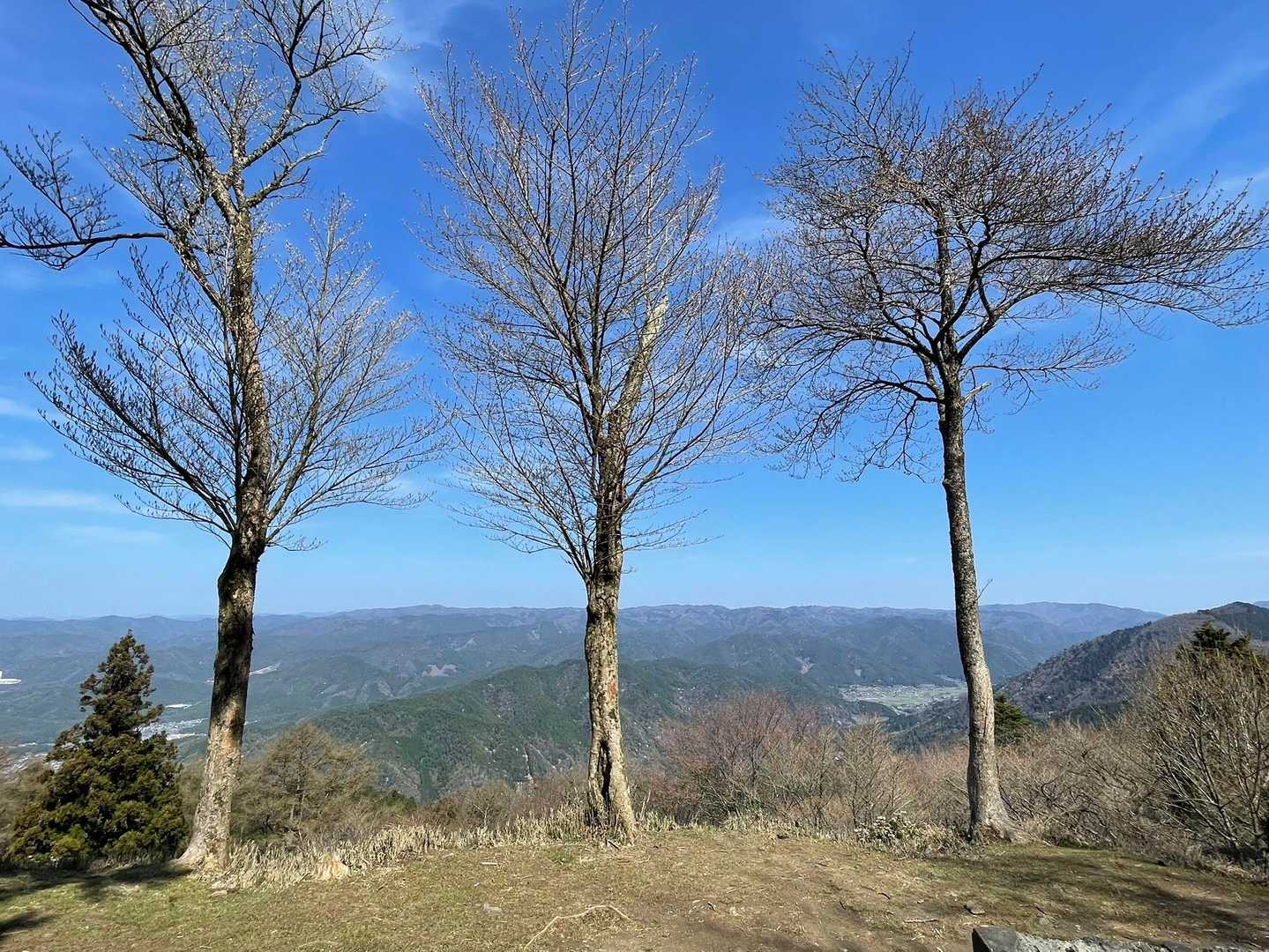 良い景色