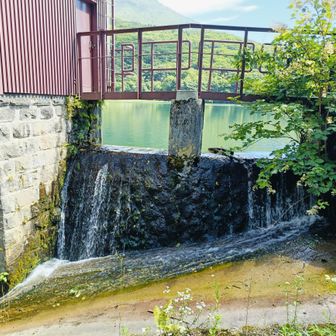 こんな感じで上澄みの水が流れてるんですね。