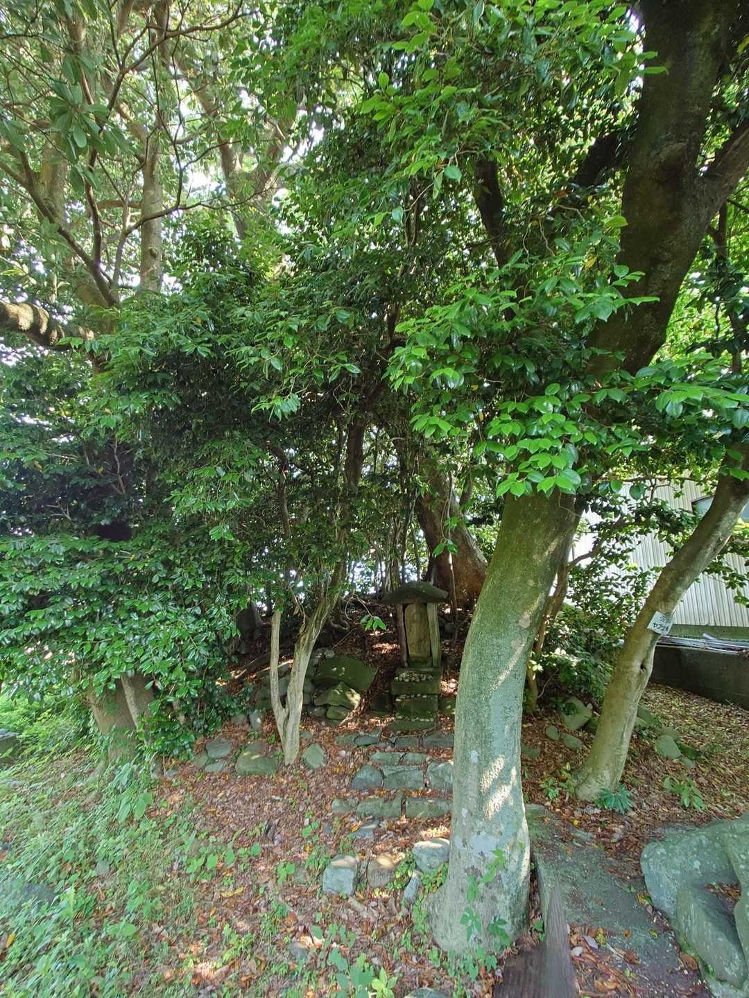 街道ウォーカーとして見過ごすわけにはいかない!
庚申塔が祀られてるね。
片塚でしたが、しっかり残ってました。