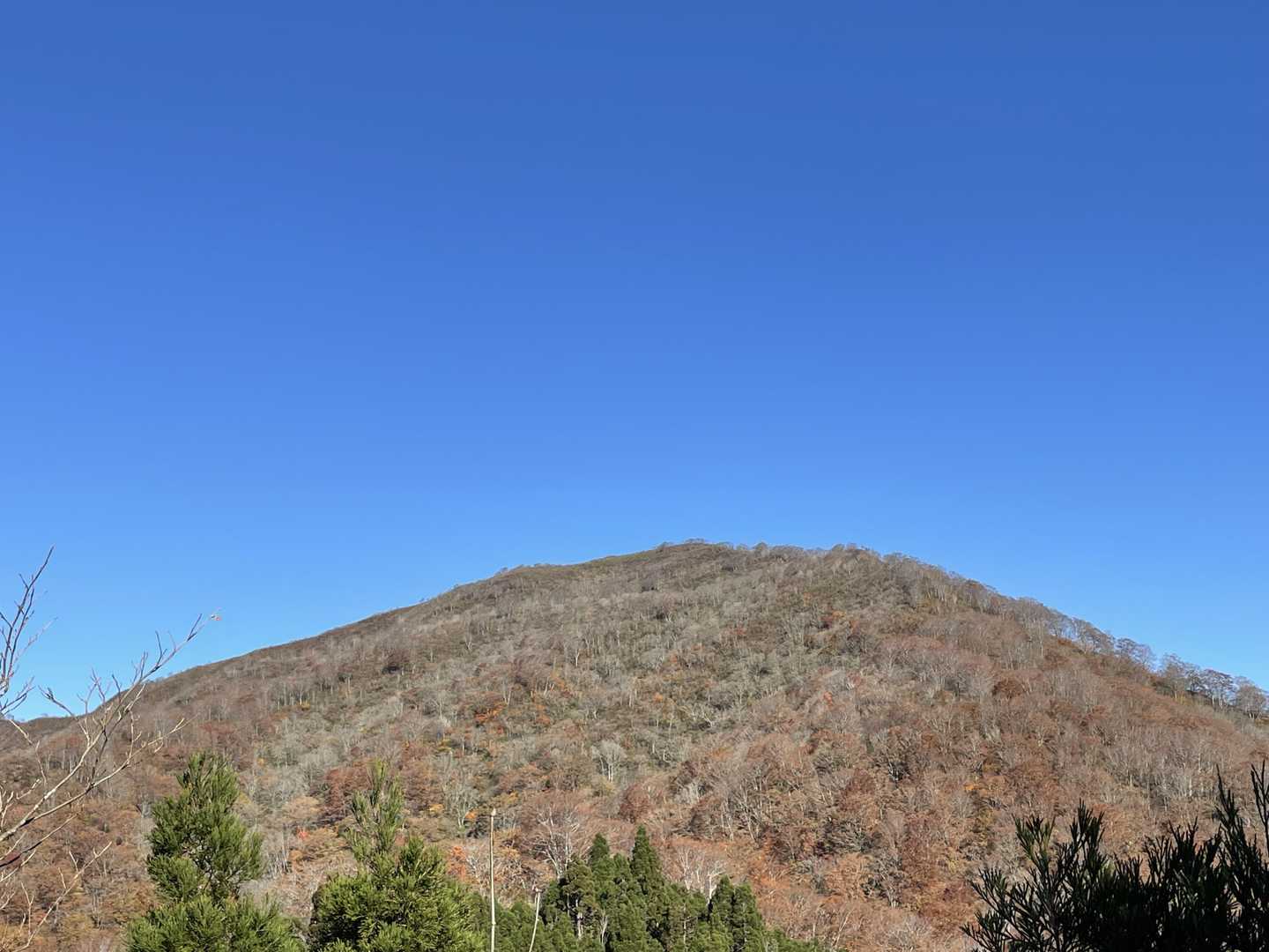 金糞岳