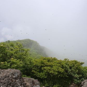 わかるかな〜。
黒い点々はブヨ🪰です😩
鳥海山の先に行きたかったけど、やめといた…