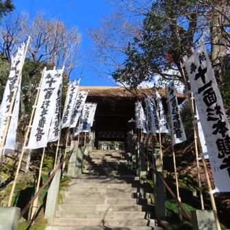 杉本寺
苔むした石段が有名な鎌倉最古の寺院
山門（仁王門）の茅葺き屋根は昨年葺き替えられたばかりで苔に彩られた姿は当分見ることはできない（去年の11月に行ったときは工事中だった）。