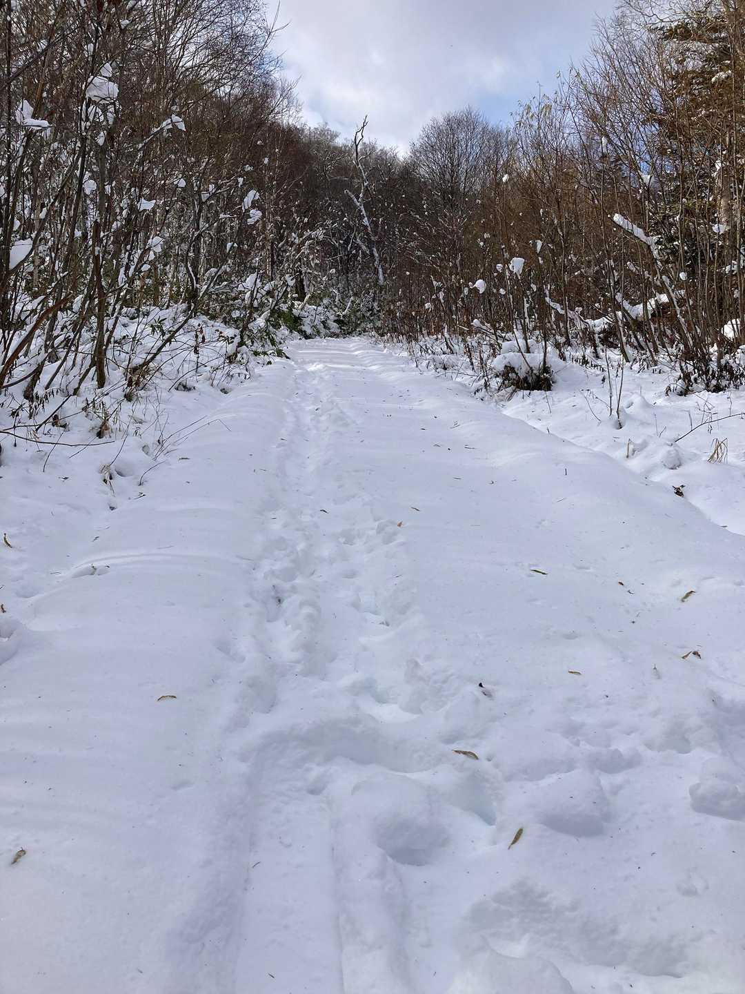 ここから深雪…