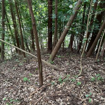 最後は急坂降り