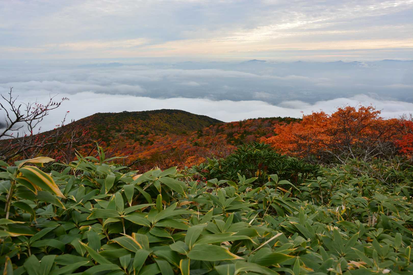 あだたら山ロープウエイ山頂駅-安達太良山-携帯トイレブース 縦走コースの写真