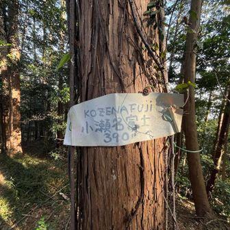 小瀬名富士 山頂標
