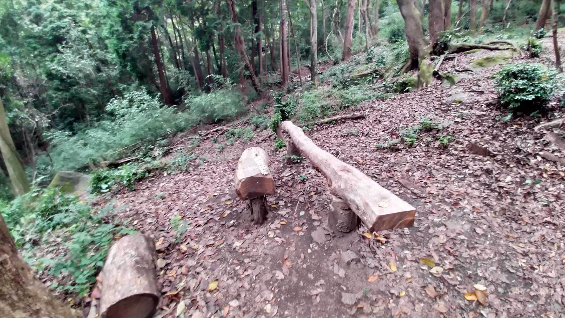 この先キツイので休憩すると良いかもです❗