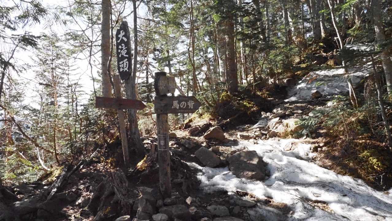 仙丈ヶ岳、残雪期テン泊 の写真 7
