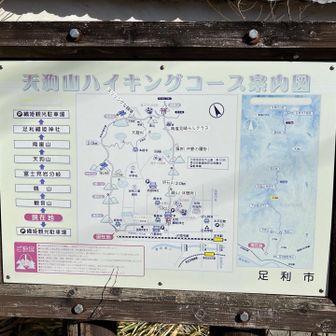 前にも撮ったかな?