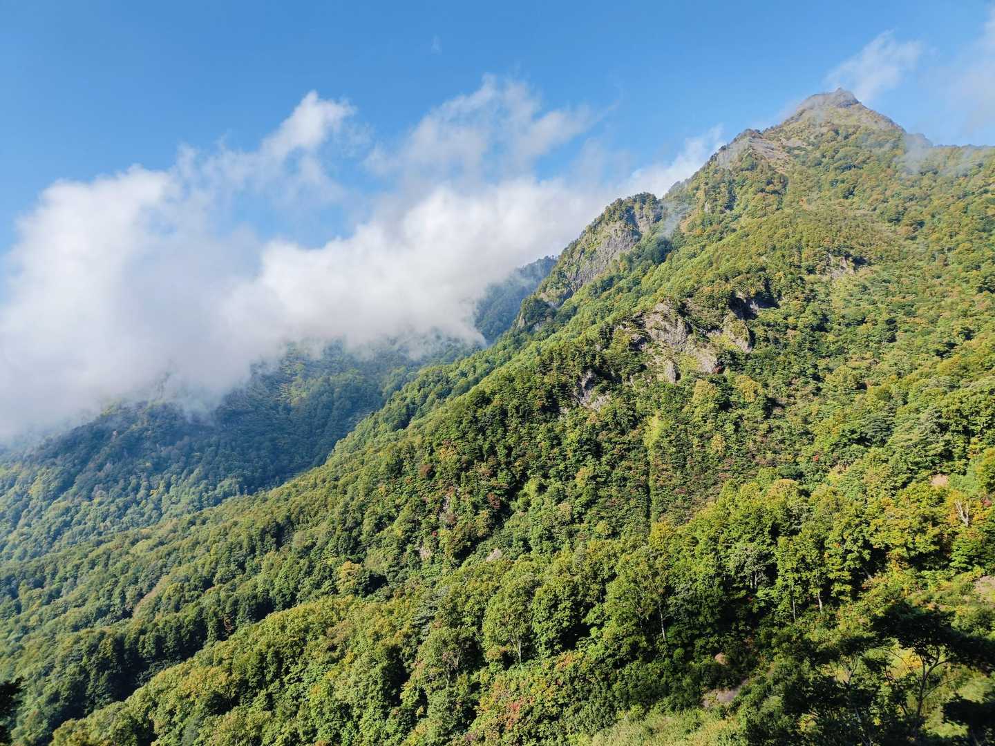 駒ヶ岳登山口-駒ヶ岳-鬼ヶ面山-鋸岳-鋸岳登山口 縦走コースの写真