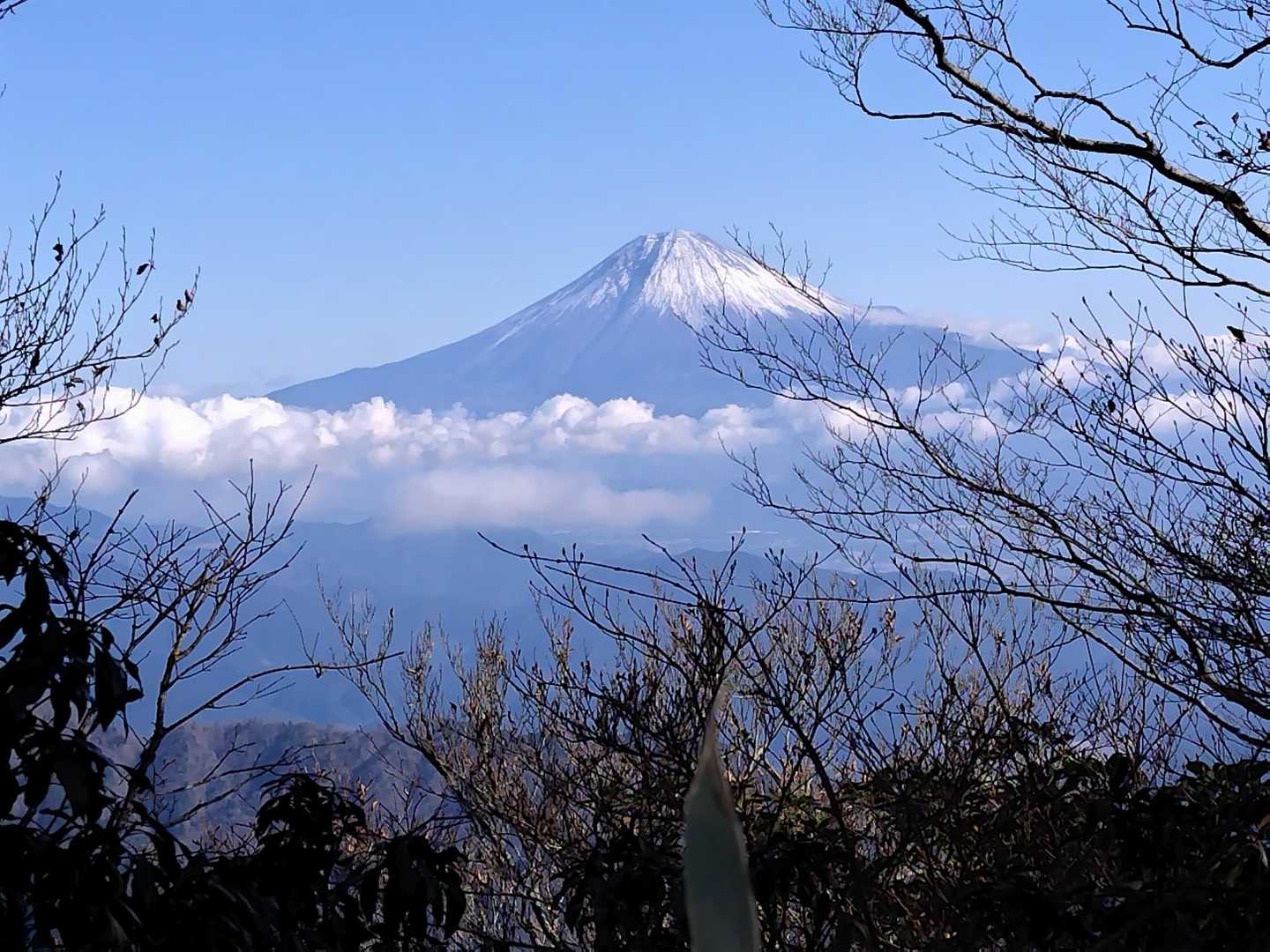 木々の間から、静岡からの富士山🗻もキレイ🤩✨