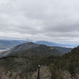 膝こすりの小五郎