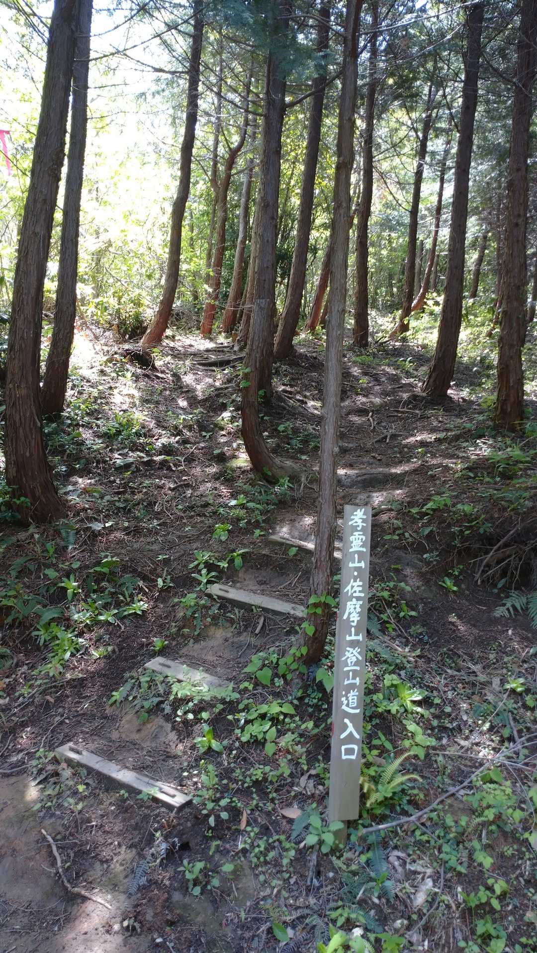 ５分ほどで登山道入口