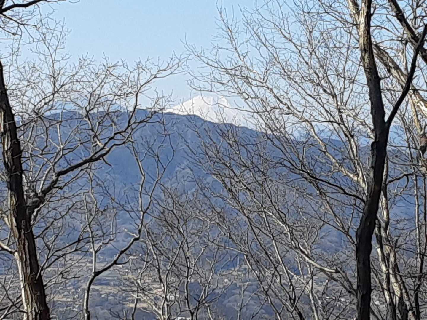 富士山の頭