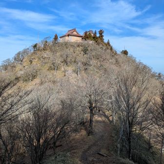 この景色が見たかった！