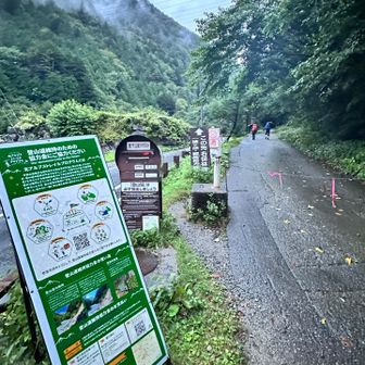 右俣林道を進んでいきます。先を進む方の傘が羨ましかった🤭