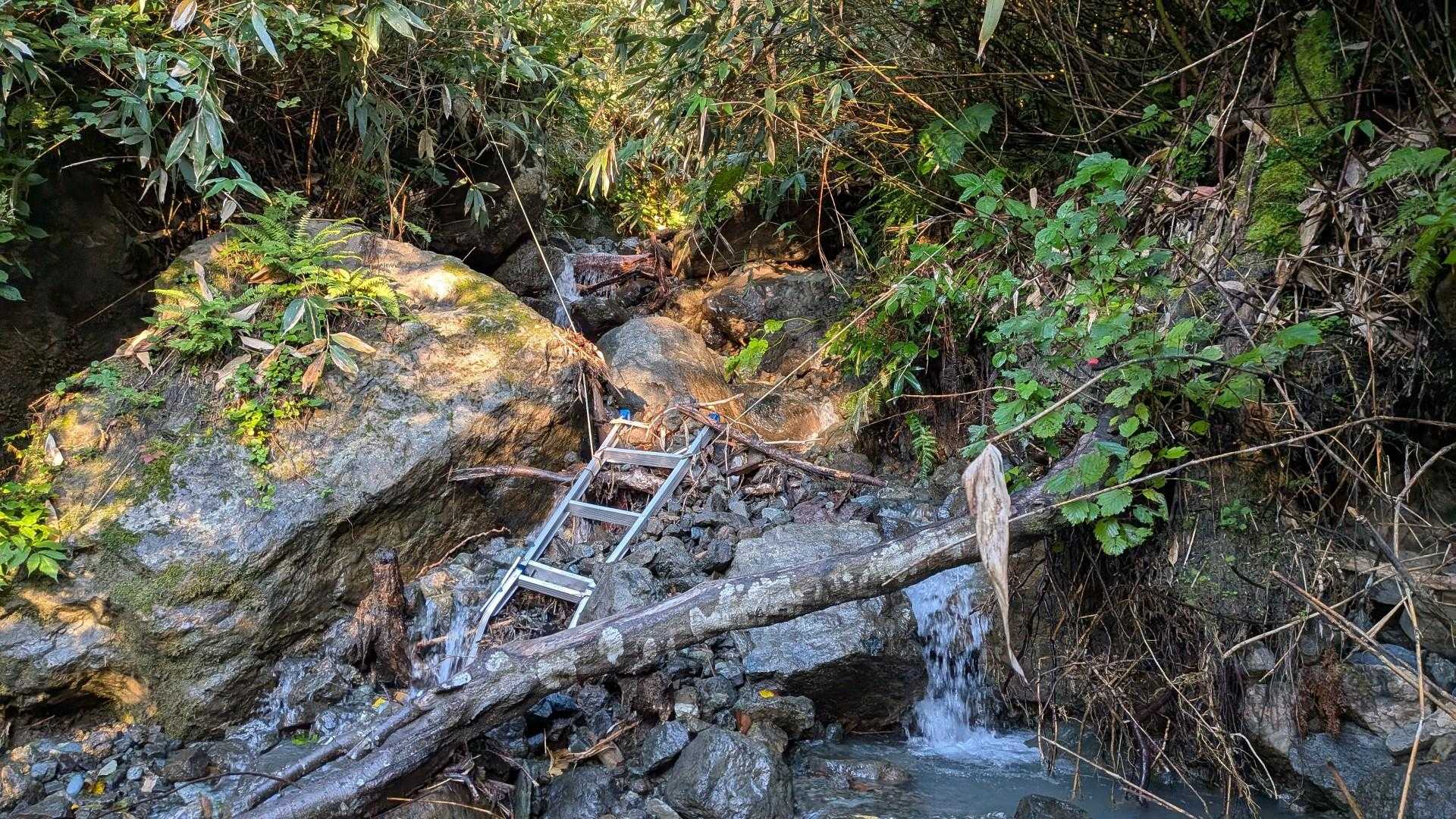 旧道登山口-芦別岳-雲峰山-半面山 縦走コースの写真