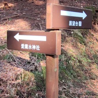 途中でクロスした林道を水神社方向に進む➡️