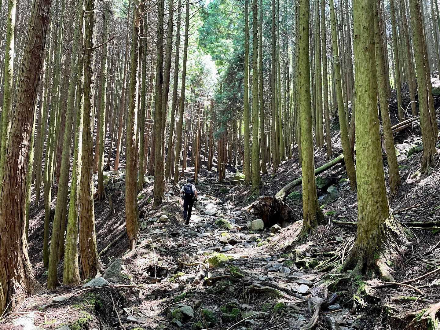渡渉と滑りやすい道をなんとか迂回できないか確認しながら、注意して進んで行きます