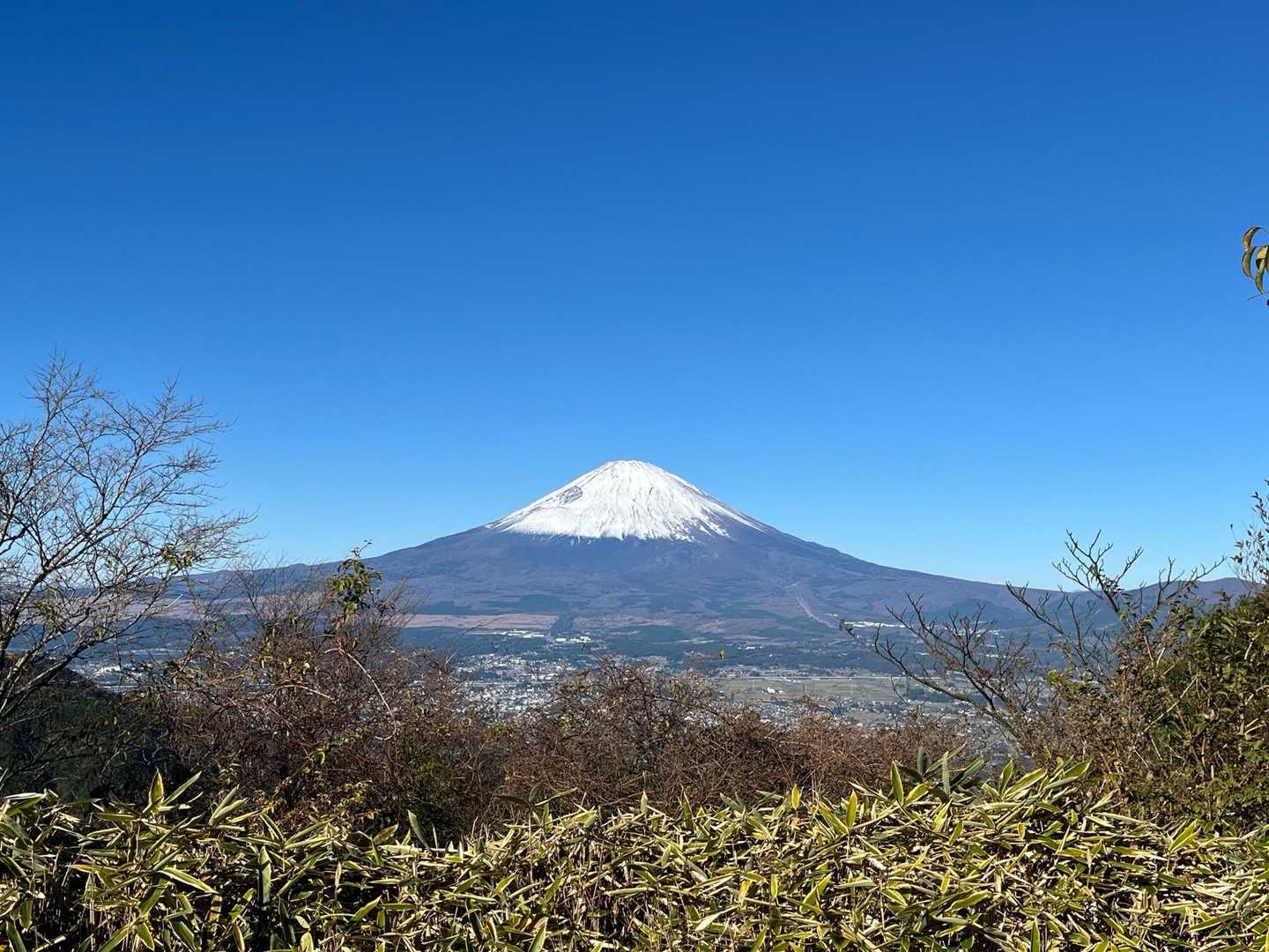 富士山は見るものとよく聞きます
