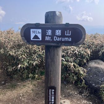 あれ？富士山は？