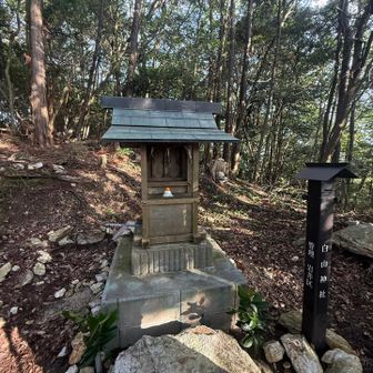 白山神社⛩️