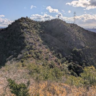 では、別所奥山に戻りますか。