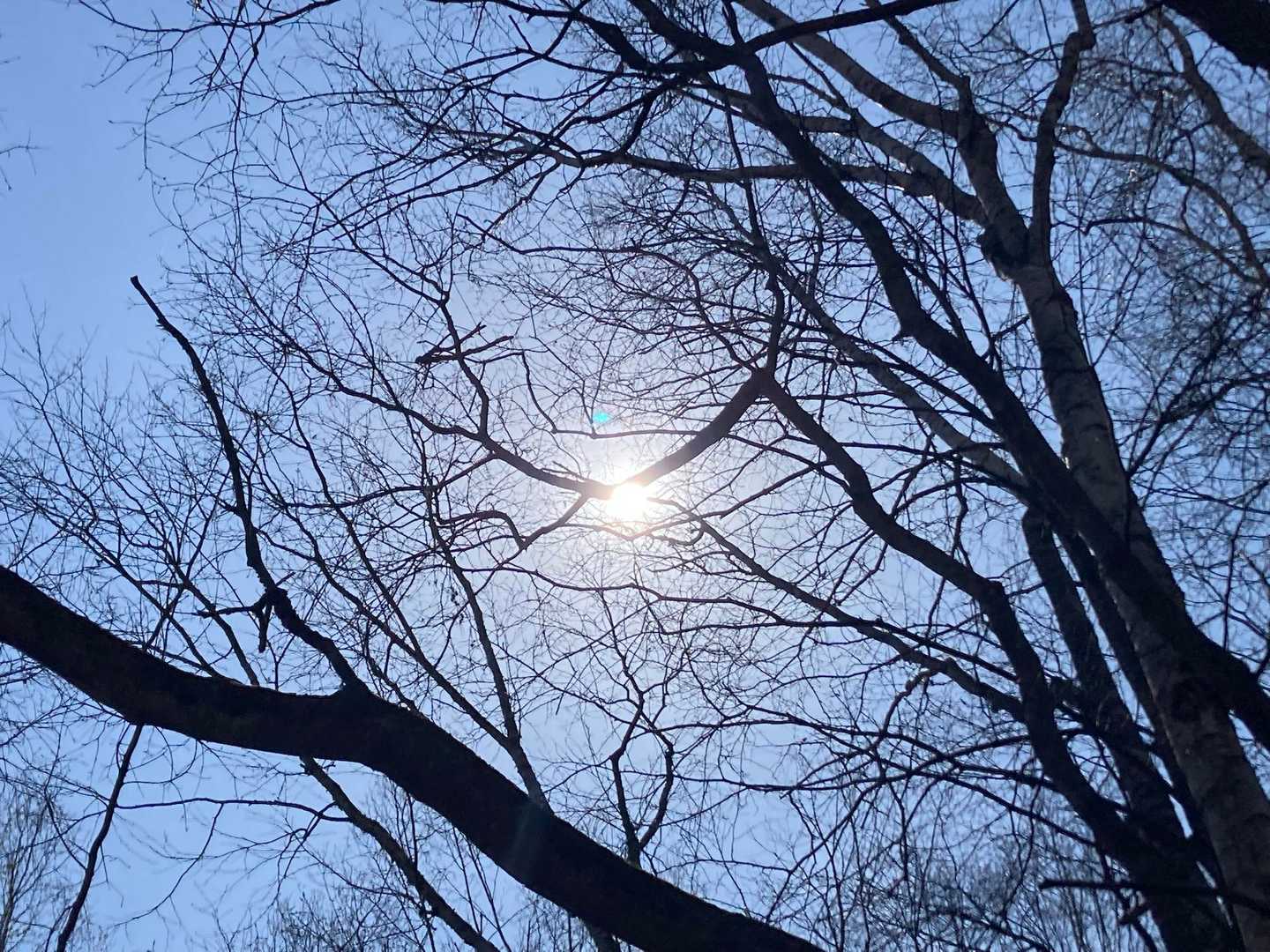 ☀️✨