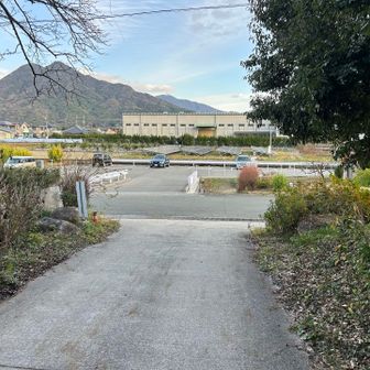 帰りは本登で一気に下山。
重い腰を上げて登りにきて良かった。