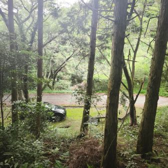 踵を返すように下山！