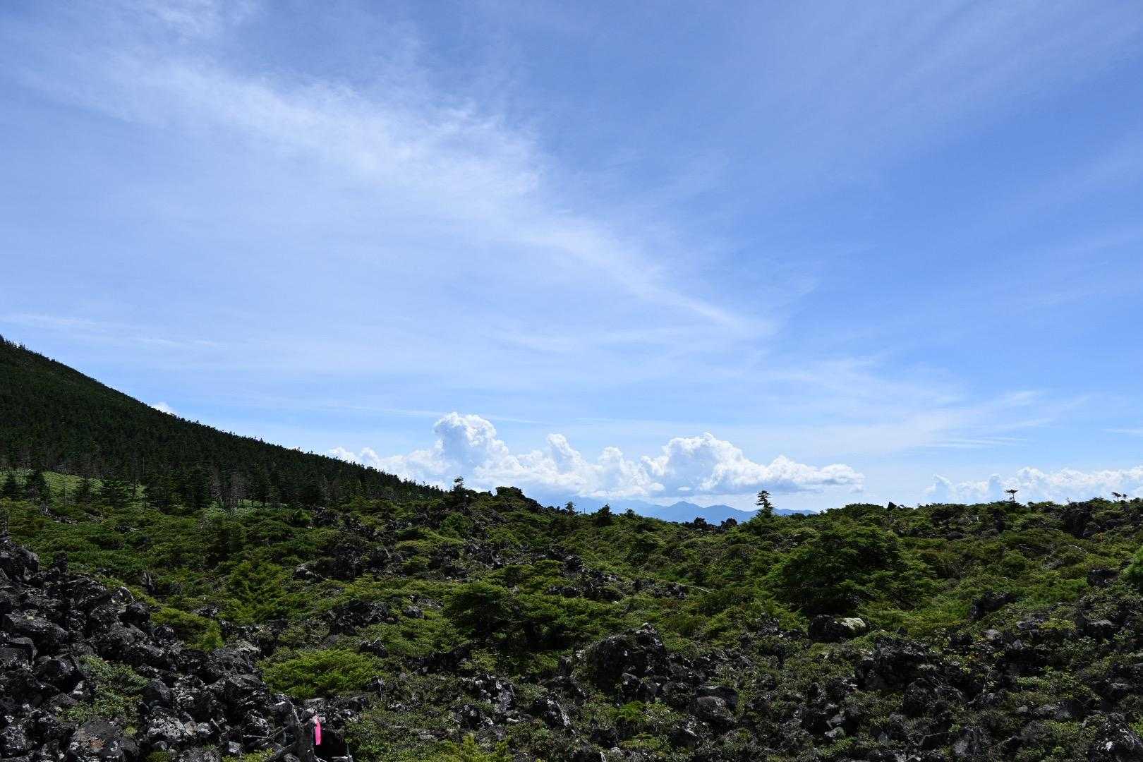 雨池峠-縞枯山-茶臼山-中小場-大石峠-麦草峠-白駒池-ニ 縦走コースの写真