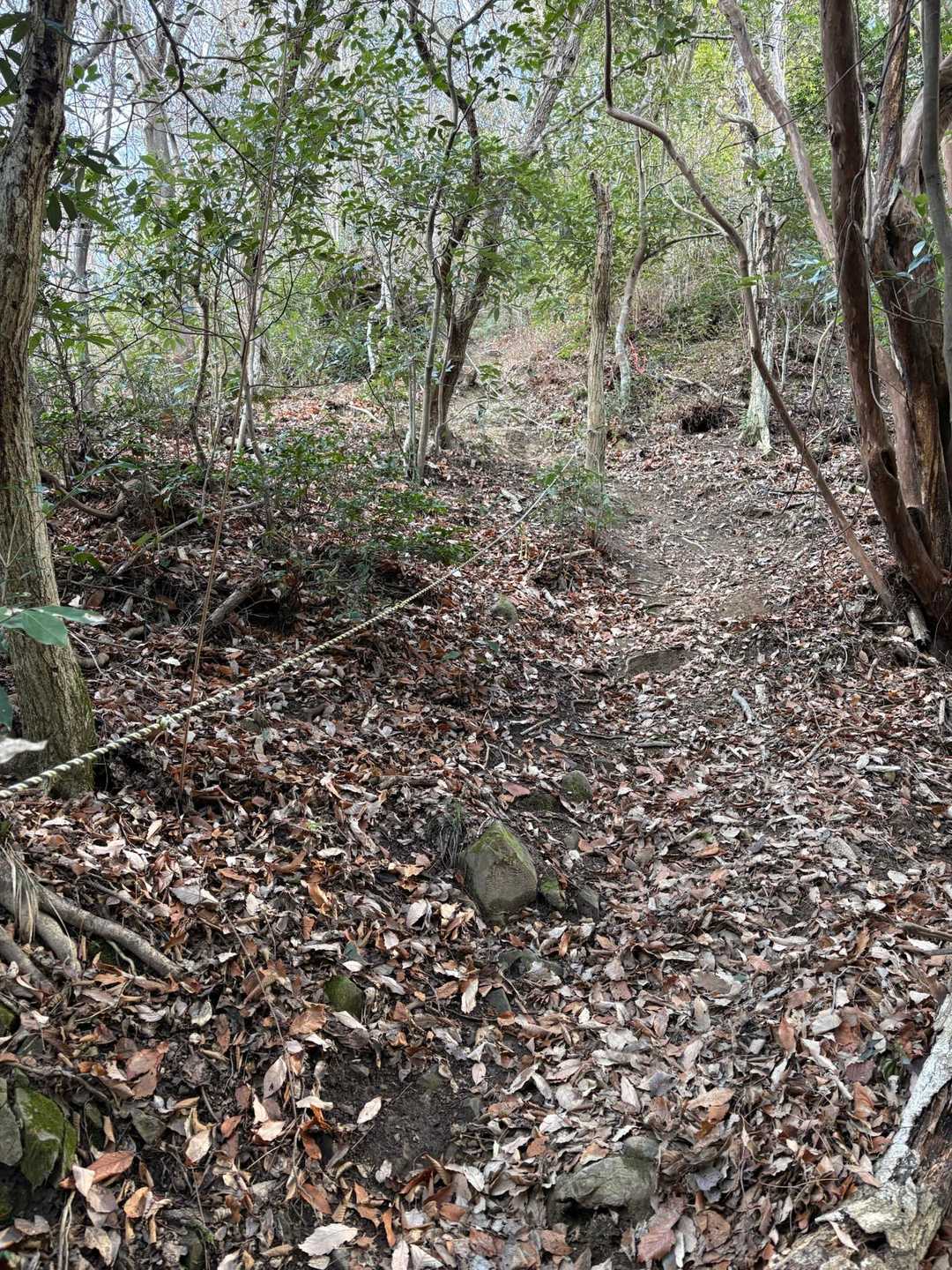 お助けロープ付きの急登を一気に登り詰めた先が山頂。上りにロープは必要ありません。下りはあれば助かるかも。