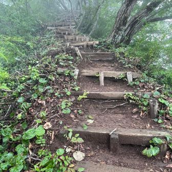 滑るので慎重に戻ります
