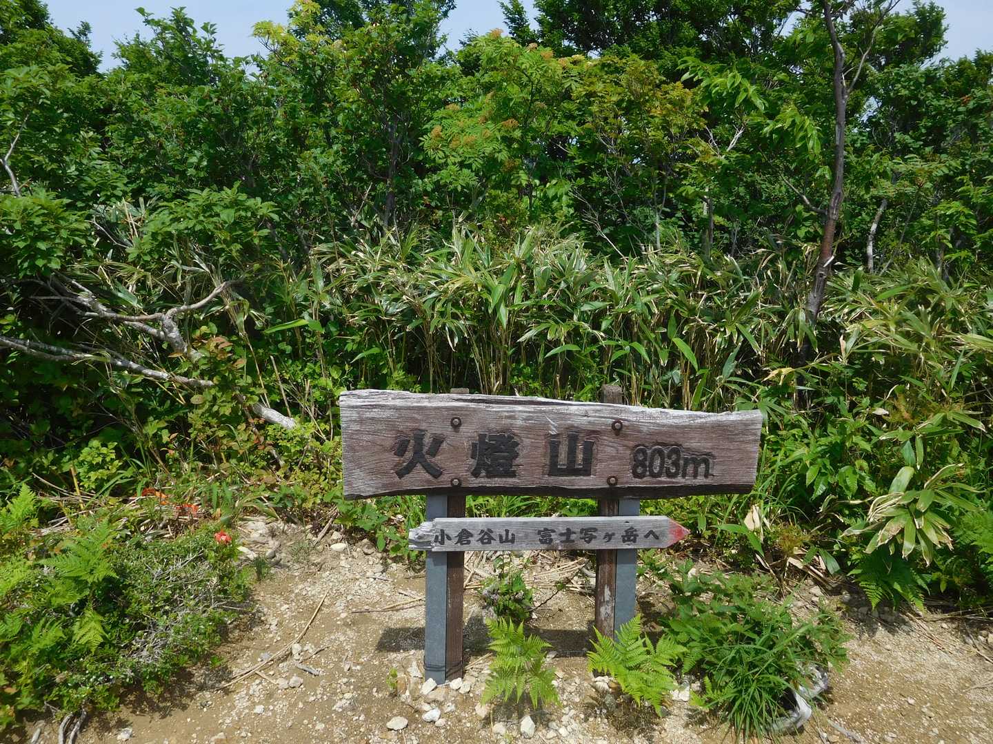 ここで休憩
直射で暑い