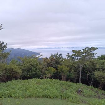 駿河湾遠くに富士市（製紙工場の煙突でわかります）が見えます。