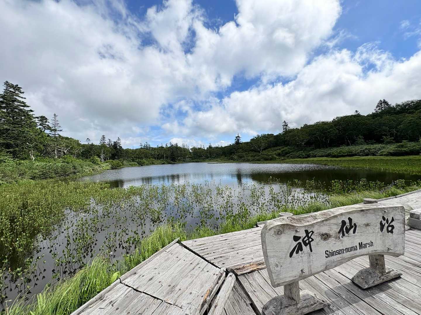 神仙沼です✨